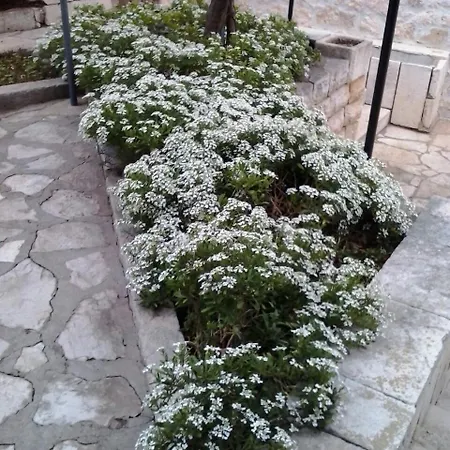 By The Sea Vinjerac, Zadar - 14640 珀塞达耶