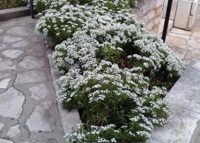 By The Sea Vinjerac, Zadar - 14640 Posedarje